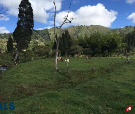 Lote Residencial para Venta en V. La Honda. Municipio Guarne - $3.230.000.000 - 218434