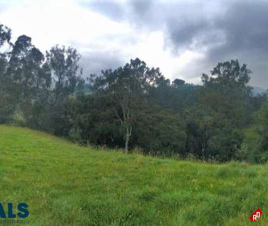 Lote Residencial para Venta en Alto de las Palmas. Municipio Envigado - $2.150.000.000 - 231062