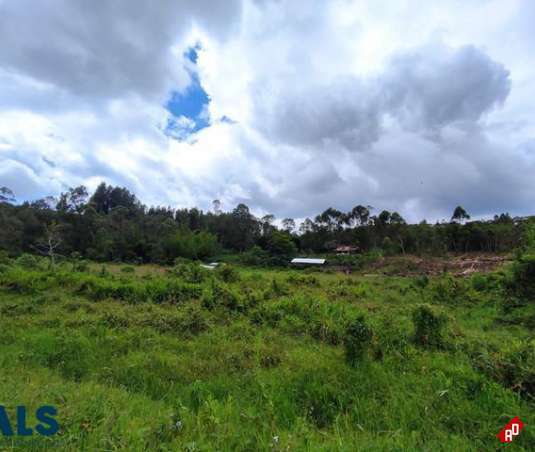 Lote Residencial para Venta en V. La Playa. Municipio Rionegro - $35.800.000.000 - 234259