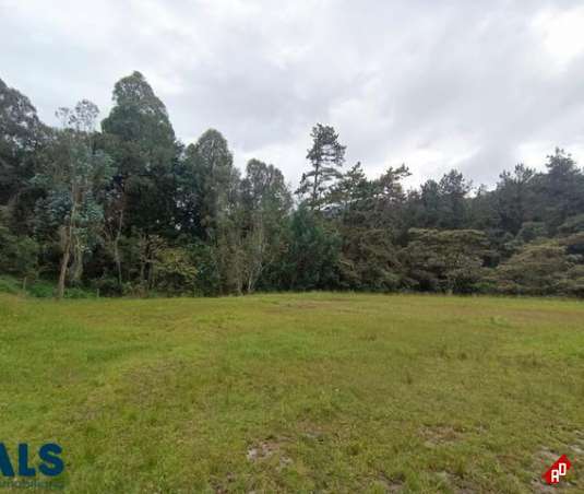 Lote Residencial para Venta en Alto de las Palmas. Municipio Envigado - $1.200.000.000 - 237703