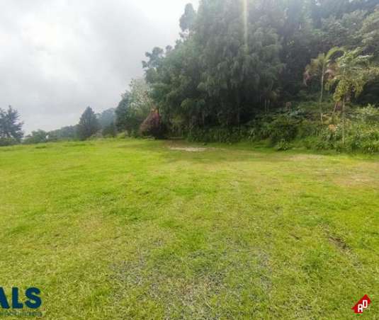 Lote Residencial para Venta en Loma del Escobero. Municipio Envigado - $23.000.000.000 - 241061