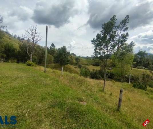 Lote Residencial para Venta en V. Pantanillo (El Retiro). Municipio El Retiro - $528.767.350 - 242502