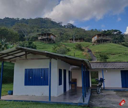 Finca Recreativa para Venta en Rural. Municipio Concepción - $1.350.000.000 - 246867