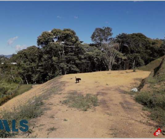 Lote Residencial para Venta en Cabeceras. Municipio Rionegro - $784.000.000 - 250940