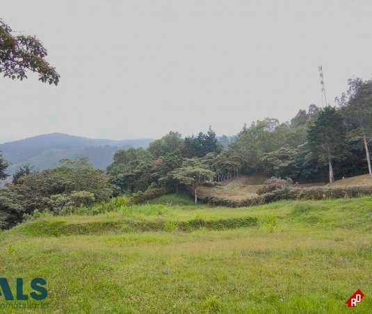 Lote Residencial para Venta en Los Balsos Nº 1. Municipio Medellin - $2.500.000.000 - 254154